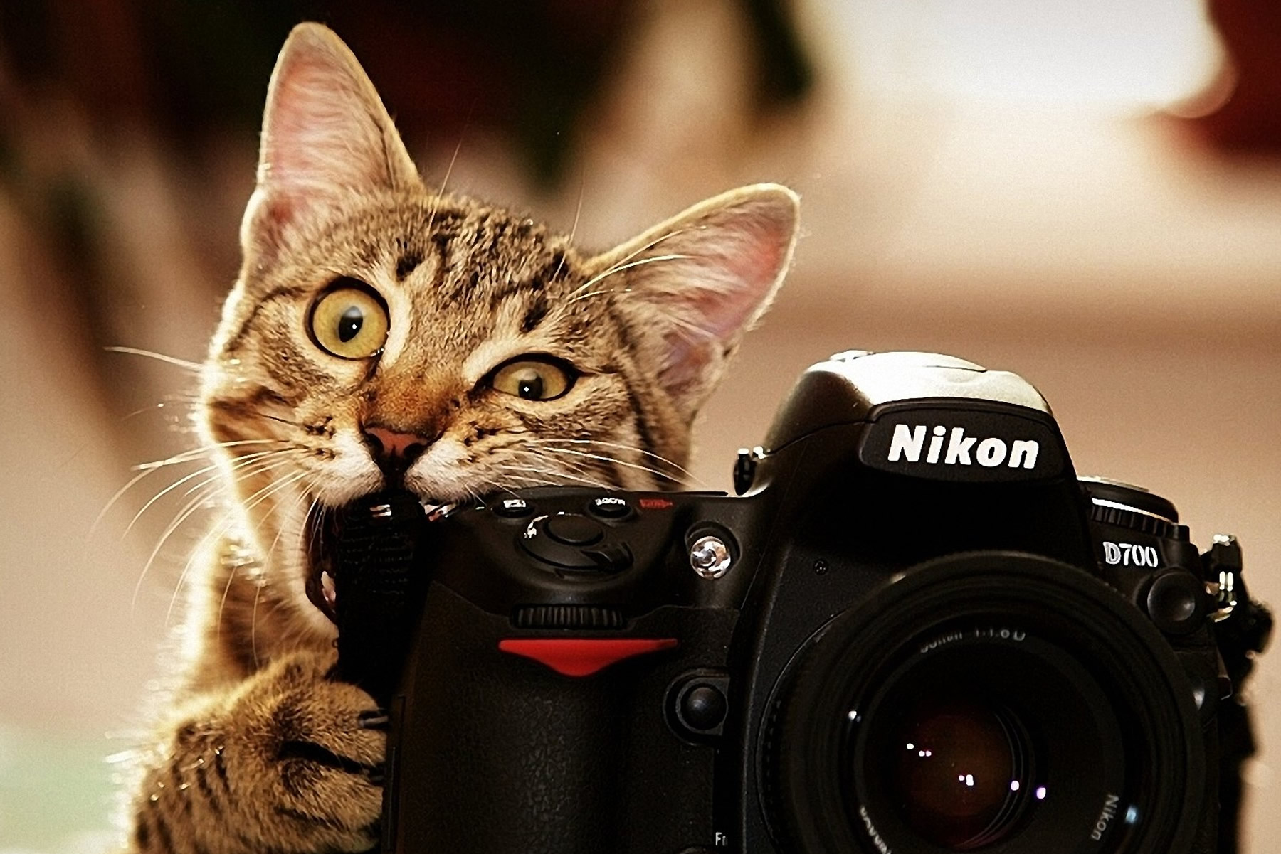 Grabaciones eventos particulares