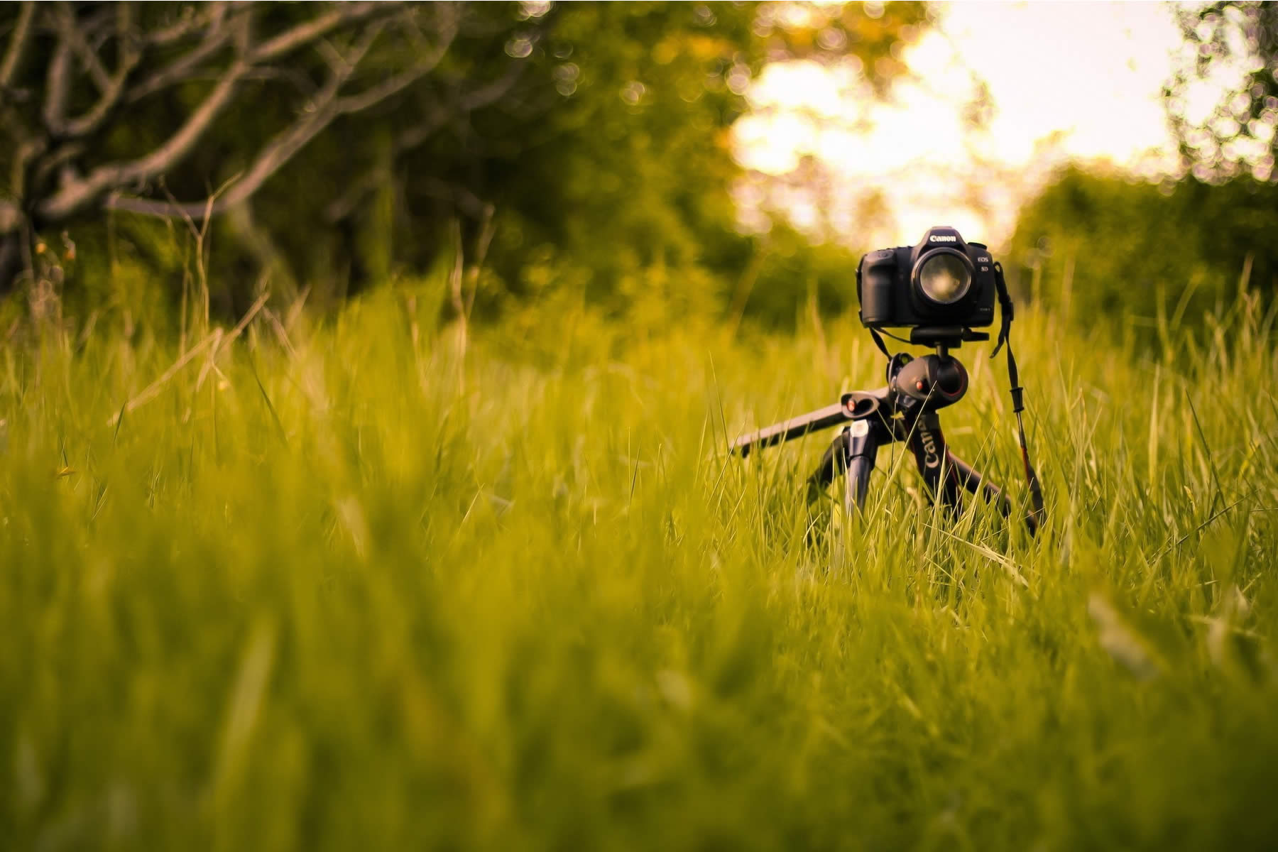 Grabaciones para comerciales