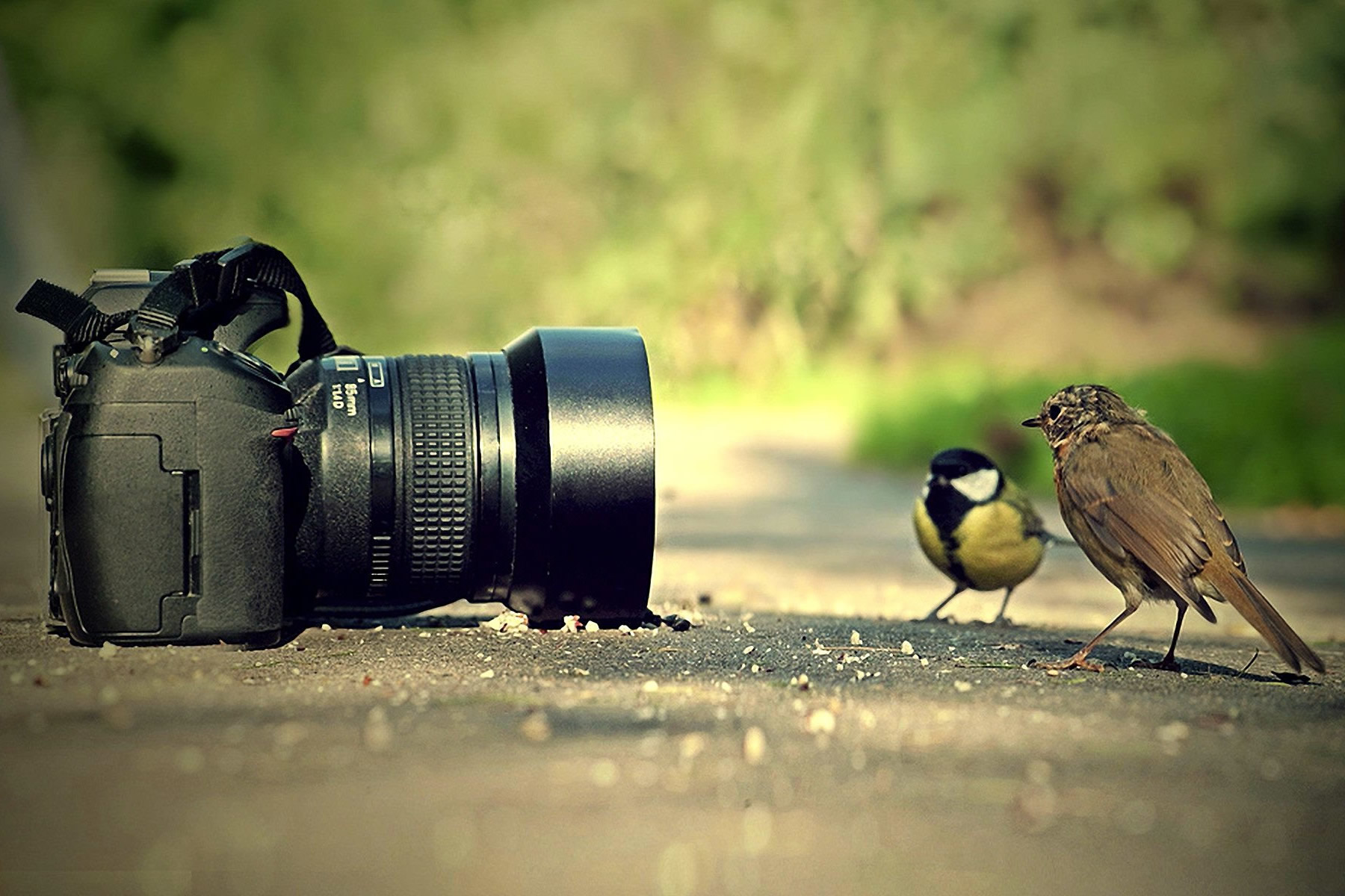 Grabaciones para XV Años